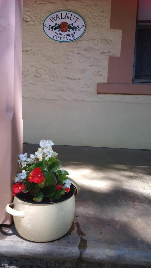 Walnut Cottage Angaston Bagian luar foto
