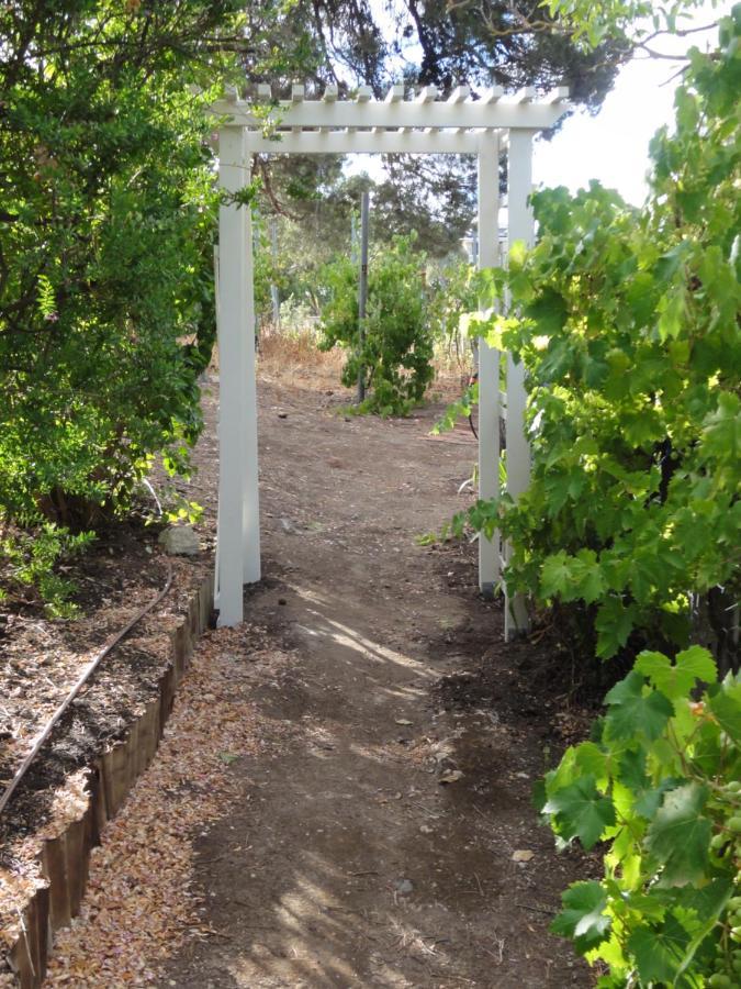 Walnut Cottage Angaston Bagian luar foto