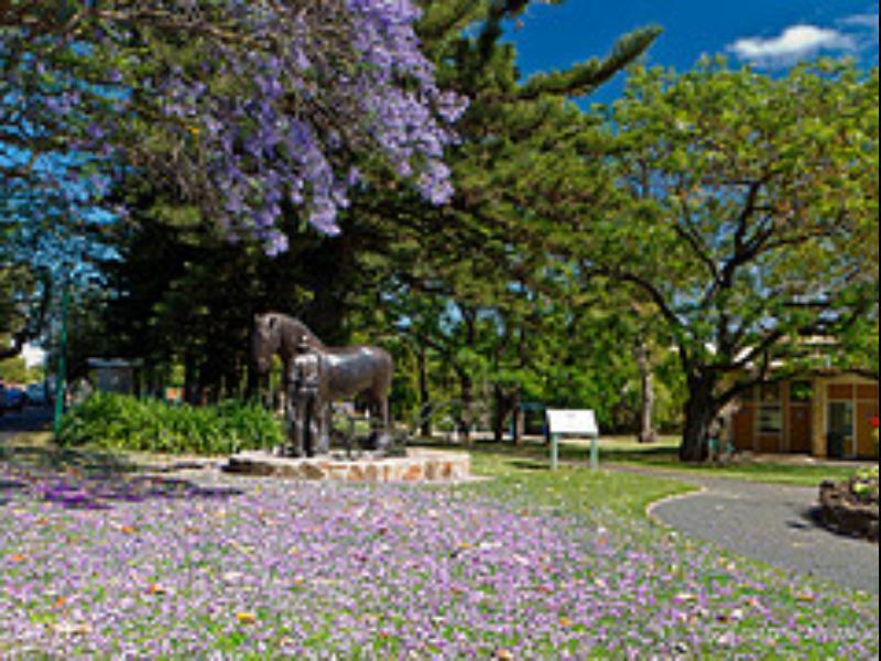 Walnut Cottage Angaston Bagian luar foto