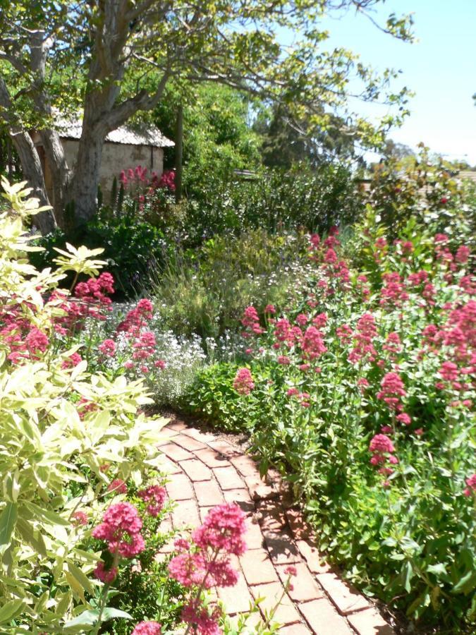 Walnut Cottage Angaston Ruang foto